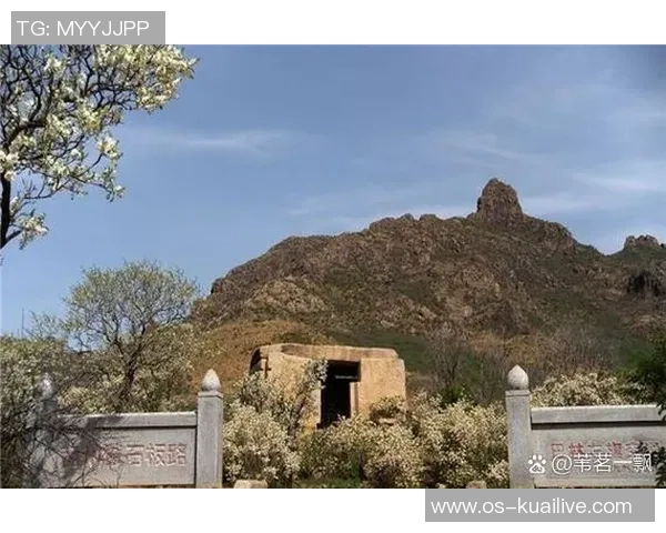 探索埃斯特旺的魅力与历史深入了解这座城市的文化与风俗