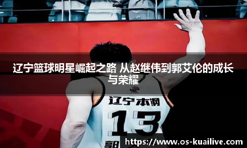 快高清直播